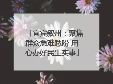 宜宾叙州：聚焦群众急难愁盼 用心办好民生实事
