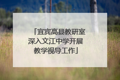 宜宾高县教研室深入文江中学开展教学视导工作