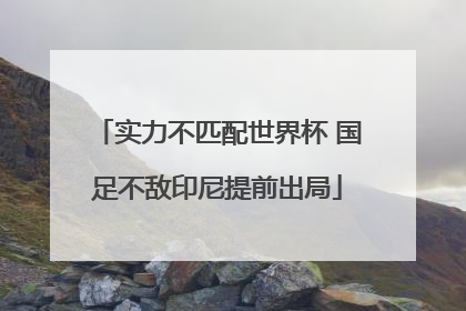 实力不匹配世界杯 国足不敌印尼提前出局