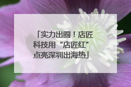 实力出圈！店匠科技用“店匠红”点亮深圳出海热