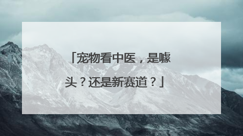 宠物看中医，是噱头？还是新赛道？