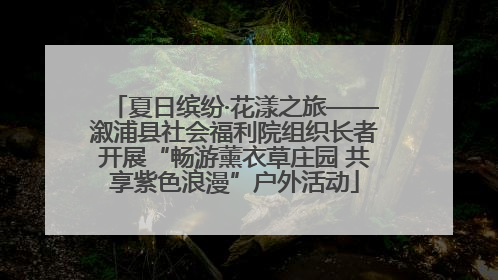 夏日缤纷·花漾之旅——溆浦县社会福利院组织长者开展“畅游薰衣草庄园 共享紫色浪漫”户外活动