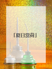 夏日赏荷