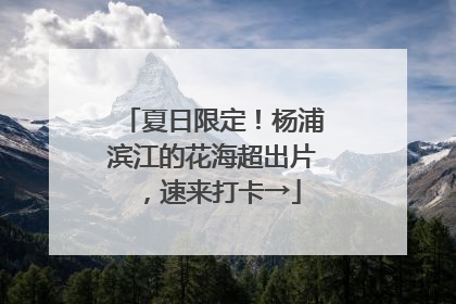 夏日限定！杨浦滨江的花海超出片，速来打卡→