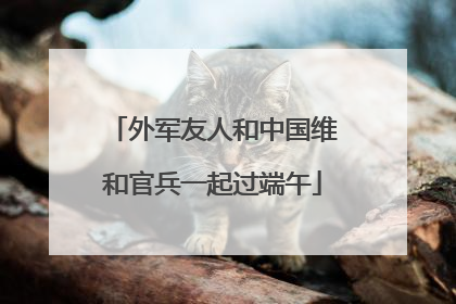 外军友人和中国维和官兵一起过端午