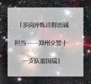 多岗淬炼诠释忠诚担当——郑州交警十一支队董国瑞