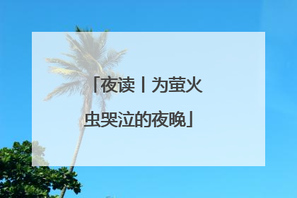 夜读丨为萤火虫哭泣的夜晚