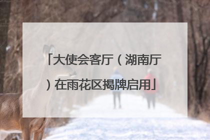 大使会客厅（湖南厅）在雨花区揭牌启用