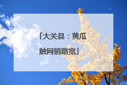 大关县：黄瓜触网销路宽