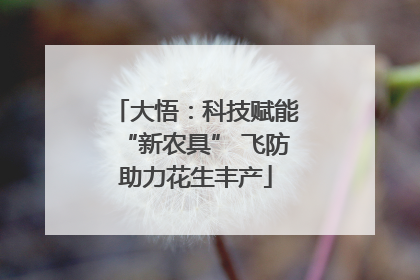 大悟：科技赋能“新农具” 飞防助力花生丰产