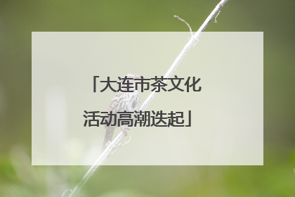 大连市茶文化活动高潮迭起
