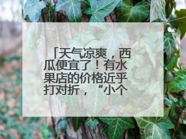 天气凉爽，西瓜便宜了！有水果店的价格近乎打对折，“小个子”的特小凤、小糖丸更好卖