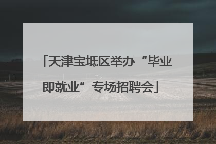 天津宝坻区举办“毕业即就业”专场招聘会