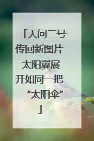 天问二号传回新图片 太阳翼展开如同一把“太阳伞”