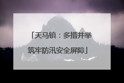 天马镇：多措并举筑牢防汛安全屏障