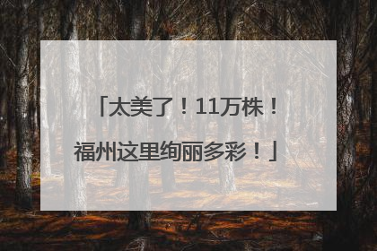 太美了！11万株！福州这里绚丽多彩！