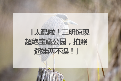 太酷啦！三明惊现超绝宝藏公园，拍照遛娃两不误！