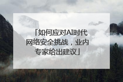 如何应对AI时代网络安全挑战，业内专家给出建议