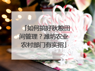 如何搞好秋粮田间管理？潍坊农业农村部门有实招