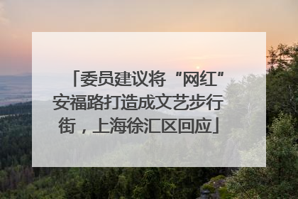 委员建议将“网红”安福路打造成文艺步行街，上海徐汇区回应
