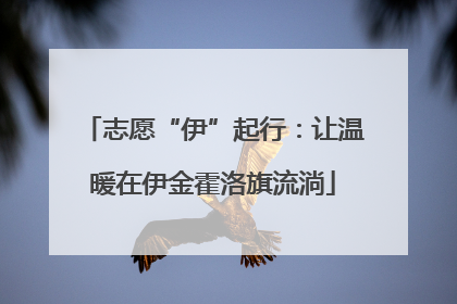 志愿“伊”起行：让温暖在伊金霍洛旗流淌