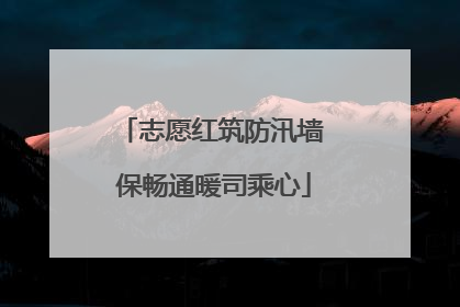 志愿红筑防汛墙 保畅通暖司乘心