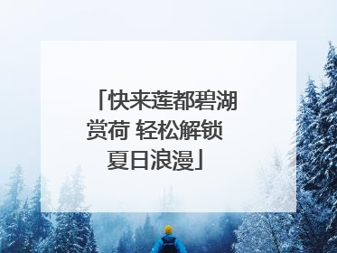 快来莲都碧湖赏荷 轻松解锁夏日浪漫