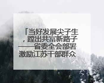 当好发展尖子生，蹚出共富新路子——省委全会部署激励江苏干部群众促进全体人民共同富裕