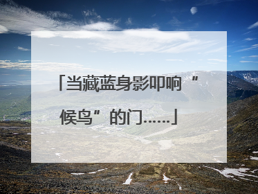 当藏蓝身影叩响“候鸟”的门……