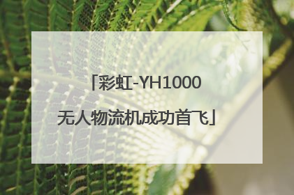 彩虹-YH1000无人物流机成功首飞