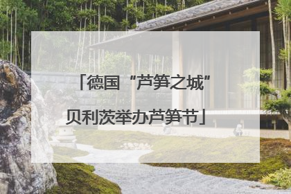 德国“芦笋之城”贝利茨举办芦笋节