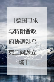 德国寻求与特朗普政府协调涉乌克兰问题立场