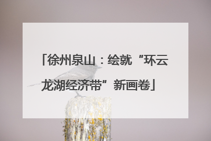 徐州泉山：绘就“环云龙湖经济带”新画卷