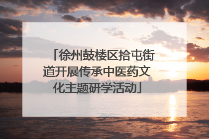 徐州鼓楼区拾屯街道开展传承中医药文化主题研学活动