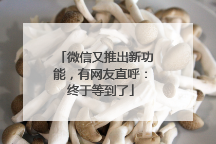 微信又推出新功能，有网友直呼：终于等到了