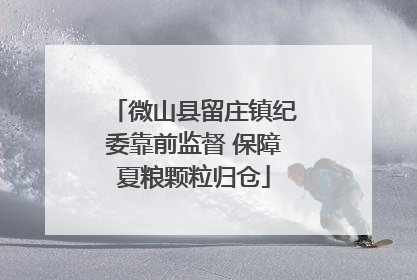 微山县留庄镇纪委靠前监督 保障夏粮颗粒归仓