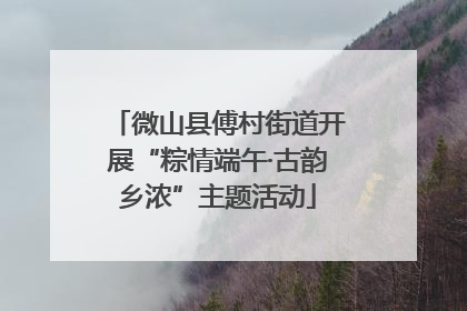 微山县傅村街道开展“粽情端午·古韵乡浓”主题活动