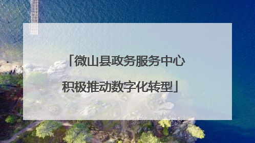 微山县政务服务中心积极推动数字化转型