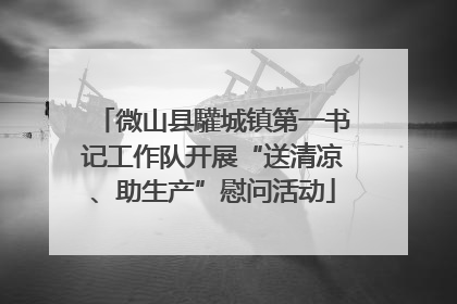 微山县驩城镇第一书记工作队开展“送清凉、助生产”慰问活动