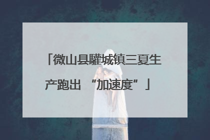 微山县驩城镇三夏生产跑出 “加速度”