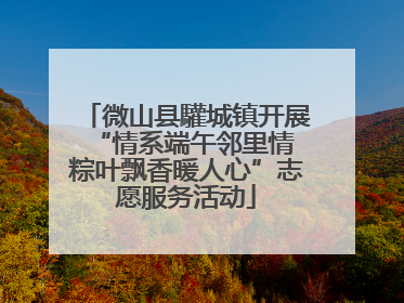 微山县驩城镇开展“情系端午邻里情 粽叶飘香暖人心”志愿服务活动