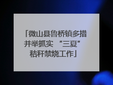 微山县鲁桥镇多措并举抓实 “三夏” 秸秆禁烧工作