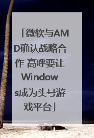 微软与AMD确认战略合作 高呼要让Windows成为头号游戏平台
