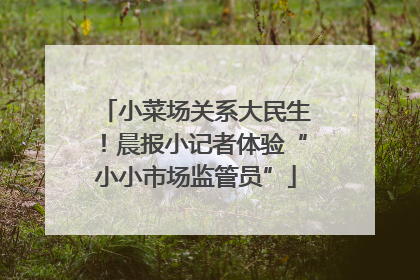 小菜场关系大民生！晨报小记者体验“小小市场监管员”