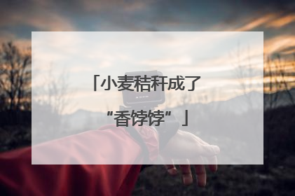 小麦秸秆成了“香饽饽”