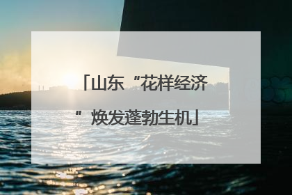 山东“花样经济”焕发蓬勃生机