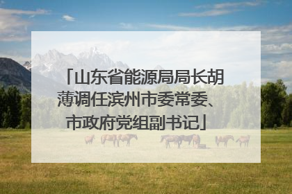 山东省能源局局长胡薄调任滨州市委常委、市政府党组副书记