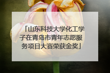 山东科技大学化工学子在青岛市青年志愿服务项目大赛荣获金奖