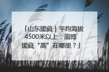 山东援藏｜平均海拔4500米以上：淄博援藏“高”在哪里？