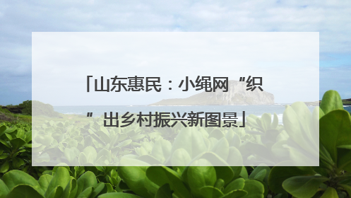 山东惠民：小绳网“织”出乡村振兴新图景